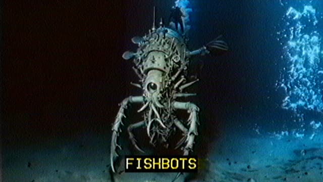 2. Fishbots