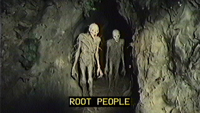 8. Root People