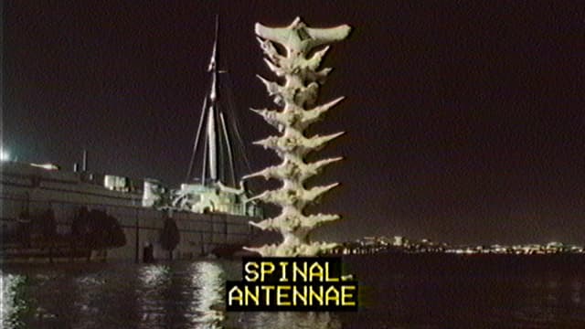6. Spinal Antennae