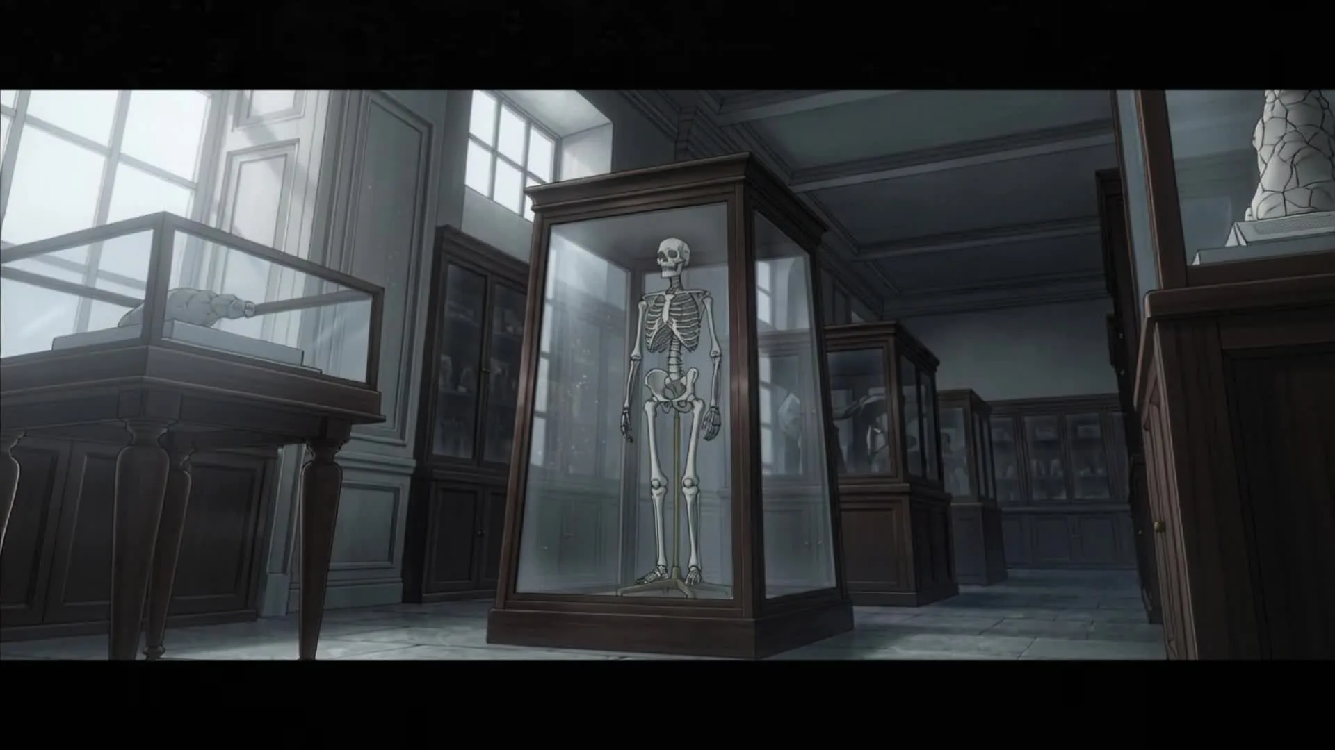 The Skeleton in the Case