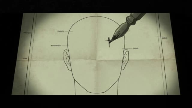 16. The Forehead