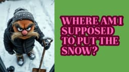 1. Where am I supposed to put the snow