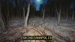 9. Skindianapolis