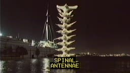 6. Spinal Antennae
